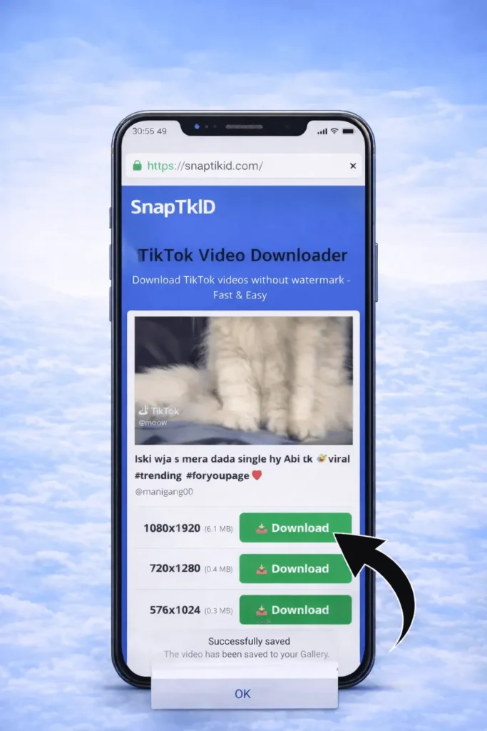 SnapTik – TikTok 无水印下载器(快速、免费 & HD) 5 Save the video as per your choice